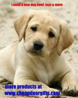(Category: ) located in . Submitted by cheapdoorgifts (Listing ID 1463689149, Image 1). Description: .