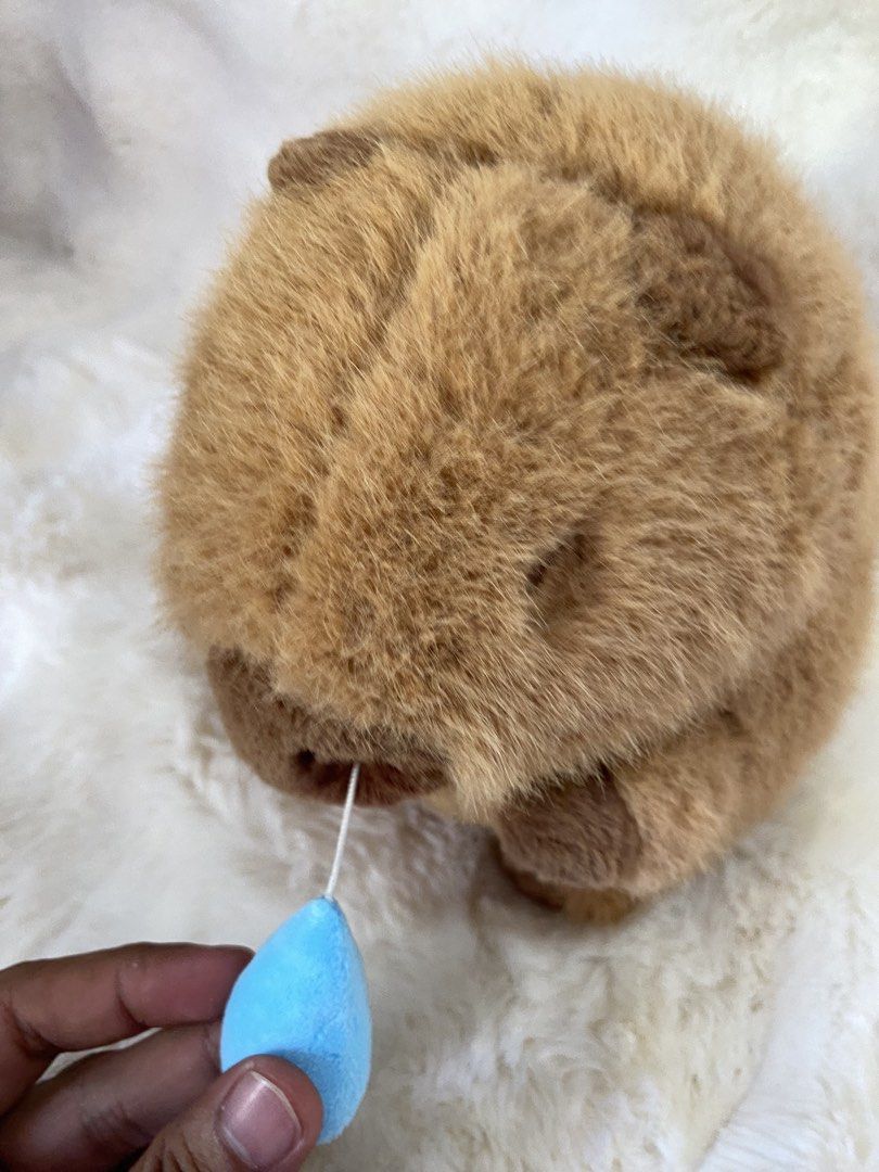 Capybara with cold pull-string vibration plush (Category: Plushies & Soft Toys) located in Kalibo. Submitted by ollie_stuffshop (Listing ID 1463742283, Image 3). Description: Before you send your inquiries: ❗️Last Price is already posted ❗️Manage your expectations, WYSIWYG ❗️May need washing ❗️Dropoff is every Wednesday & Sunday.