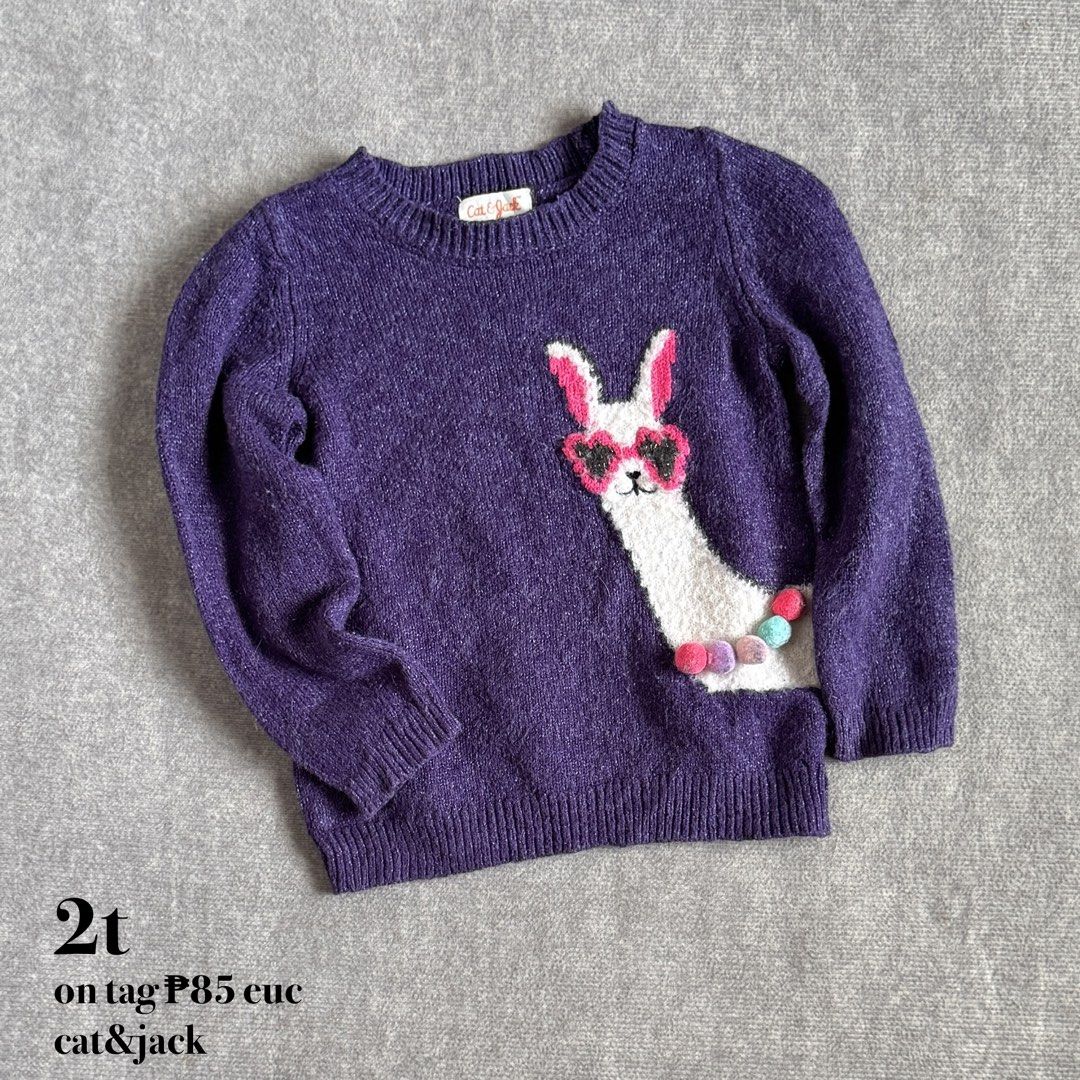 cat&jack kids knit sweater (Category: Babies & Kids Fashion) located in Baguio. Submitted by mapa_laku (Listing ID 1463673771, Image 1). Description: .