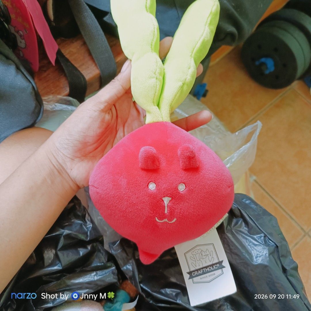 CRAFTHOLIC Plush Toy - Radish & Eggplant (Category: Plushies & Soft Toys) located in Taguig. Submitted by mhayestufftoys (Listing ID 1463643461, Image 1). Description: - Adorable Craftholic plushies - Available designs: Radish and Eggplant - Super soft and huggable material - Ideal for collectors or as a fun room decoration - Both plushies come with original tags attached - Limited availability - get yours now!.