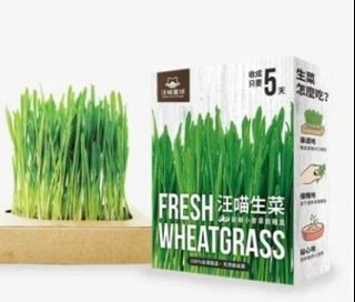 （分類：）位於 。 由 buiyeechan 提交（商品編號 1463618942，圖片 1）。簡介： 。