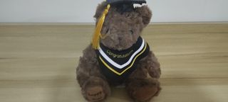 100+ Graduation For Sale | Toys | Carousell Malaysia