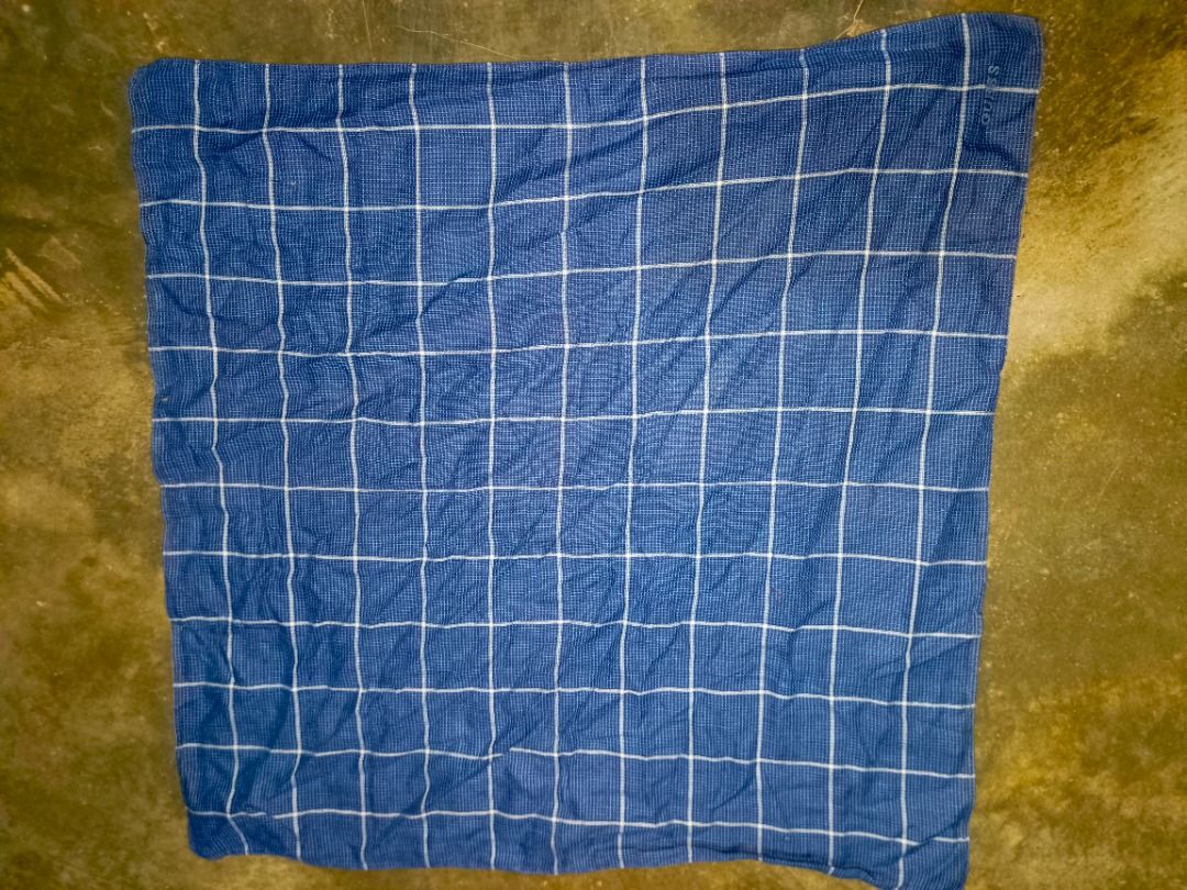 Guess Blue Plaid Fabric (Category: Luxury Accessories) located in Caloocan City. Submitted by jie_theseller17 (Listing ID 1463673251, Image 1). Description: - Blue fabric with white plaid pattern - Guess logo subtly woven in - Waffle knit texture - Ideal for sewing and crafting projects.