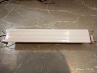 （分類：）位於 。 由 sam9188sam 提交（商品編號 1463709133，圖片 1）。簡介： 。