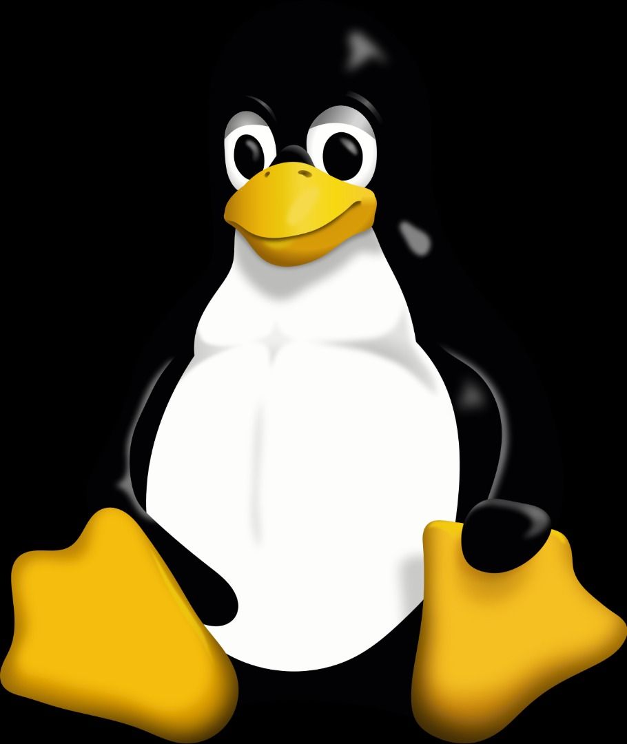 Linux Installation (Category: Software) located in Singapore. Submitted by truefalcon.f5137c (Listing ID 1463589412, Image 1). Description: I can help you install linux on your device for $10, for other linux distros, please dm me..