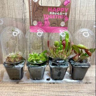 (Category: ) located in . Submitted by lushglassdoor (Listing ID 1463562295, Image 1). Description: .