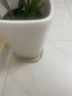 （分類：）位於 。 由 smkat 提交（商品編號 1463683323，圖片 1）。簡介： 。