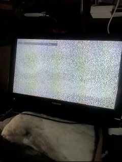 (Category: ) located in . Submitted by truecrystal_90a210 (Listing ID 1463739740, Image 1). Description: .