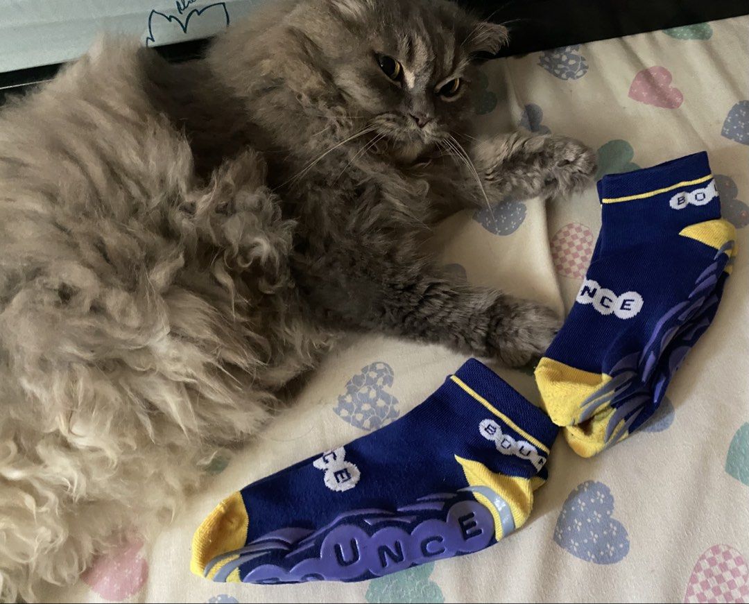 Trampoline Socks (Category: Socks) located in Las Pinas. Submitted by garagesalesalaspinas (Listing ID 1463646426, Image 1). Description: 🧦 Trampoline Socks Price: 150 ea, 2 for 220 ❗ no issue 💵 Payment first policy! 💵 Mode of Payment: Gcash for Delivery Cash for Meetup 📢 Kindly check my other rare stuffs at https://www.carousell.ph/u/garagesalesalaspinas/.