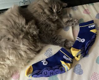 (Category: ) located in . Submitted by garagesalesalaspinas (Listing ID 1463646426, Image 1). Description: .