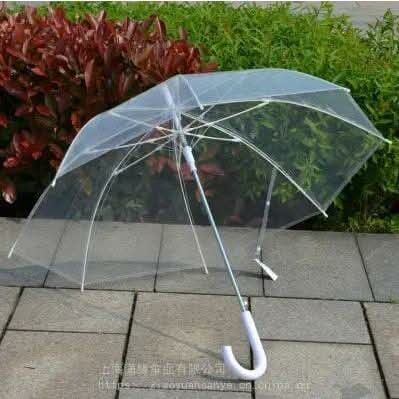 TRANSPARENT UMBRELLA LONG HANDLE SIZE:76CM X 70CM (Category: Umbrellas) located in Quezon City. Submitted by miriamreyes006 (Listing ID 1463647934, Image 1). Description: TRANSPARENT UMBRELLA LONG HANDLE SIZE:76CM X 70CM Php 130 EACH ONLY WS/ DOZEN UP Php100 EACH ONLY.