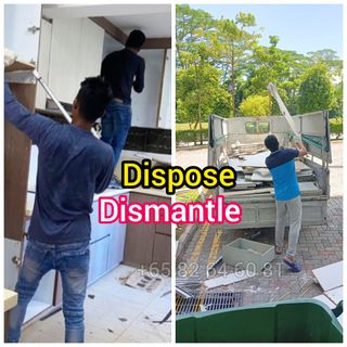 Dismantle, Disposal & Hacking  Collection item 1