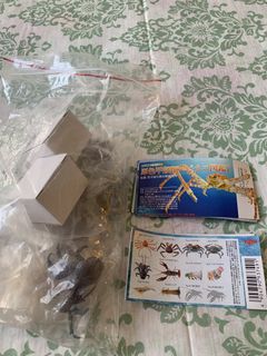 （分類：）位於 。 由 patpatho 提交（商品編號 1463571982，圖片 1）。簡介： 。