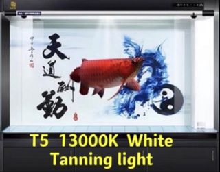 (Category: ) located in . Submitted by j_second_hand_product (Listing ID 1463359041, Image 1). Description: .