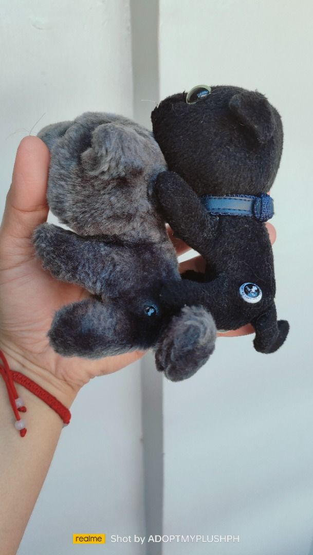 [2] THE CAT Artlist Collection (Category: Other Merchandise) located in Taguig. Submitted by adopt.my.plush.ph (Listing ID 1463882969, Image 3). Description: THE CAT Artlist Collection plush mascot bundle Featured Plush Breeds Top Plush (Black): This represents the Black Shorthair / Bombay cat variant, featuring signature oversized green glass-like eyes and a light pink nose. Bottom Plush (Gray): This represents the Russian Blue cat variant, comp