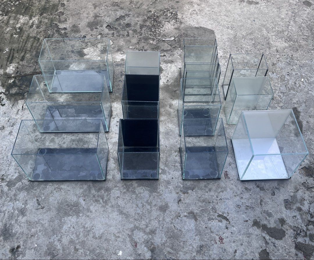 Assorted Glass Aquarium Tanks and Accessories (Category: Homes & Other Pet Accessories) located in Las Pinas. Submitted by spideey (Listing ID 1463850522, Image 3). Description: For Sale: As Set Only RFS:Need space 😅 Perfect for people starting in the hobby! Inclusions: 3 pcs 2.5g tank 4 pcs 1.25g tank 7 pcs 1g or less (Betta Tank) 1 pc TCFM cube 3 pcs big driftwood 15kgs+ black seiryu stone (centerpiece for aquascapists) 10kgs+ riverstone 1 pc 