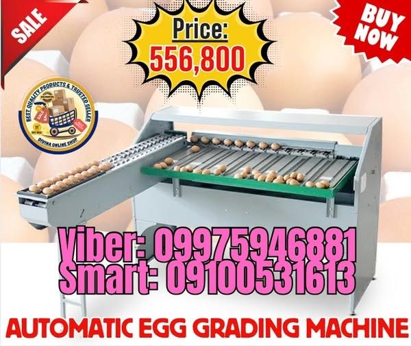 Automatic Egg grading machine (4000pcs/h) carbon steel type (Category: Construction Tools & Equipment) located in Pasig City. Submitted by ayabheldiane-20162 (Listing ID 1463791394, Image 1). Description: 🌏 We Can Deliver Nationwide 👉 AP Cargo, LBC, Lalamove & etc. 📍HURRRYYYY!!! BUY NOW!!! & GET LESS DISCOUNT SALE❗️SALE❗️ 🔥Automatic Egg grading machine (4000pcs/h) carbon steel type Price: 556,800 ✅💯Guaranteed Seller ✅ High Quality Products ✅