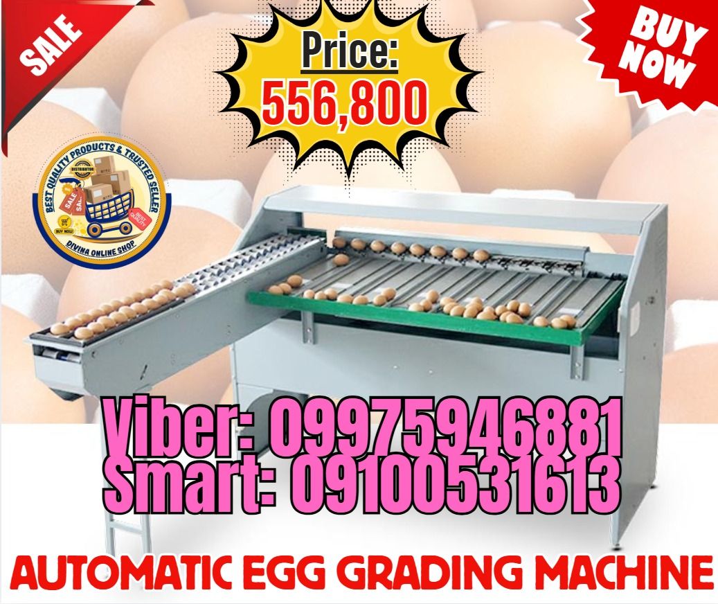 Automatic Egg Grading Machine with 7 Level (Category: Industrial Equipment) located in Valenzuela. Submitted by mitchellegold.141 (Listing ID 1463828809, Image 1). Description: 🌏 We Can Deliver Nationwide 👉 AP Cargo, LBC, Lalamove & etc. 📍HURRRYYYY!!! BUY NOW!!! & GET LESS DISCOUNT SALE❗️SALE❗️ 🔥Automatic Egg grading machine (4000pcs/h) carbon steel type Price: 556,800 ✅💯Guaranteed Seller ✅ High Quality Products ✅💯 Legit Distributor ✅ Compl