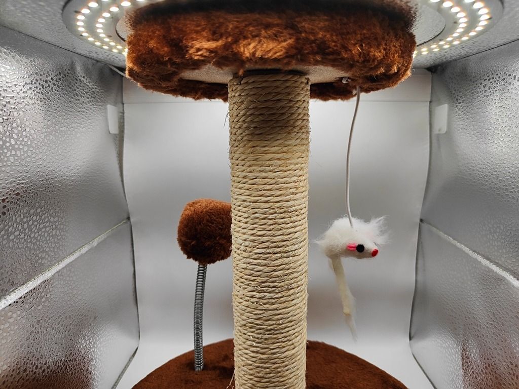 Cat Stand With Scratching Post And Toy (Category: Homes & Other Pet Accessories) located in Las Pinas. Submitted by ricns (Listing ID 1463827815, Image 2). Description: Please Read The Entire Ads Before Inquiring Pakibasa Muna Ang Buong Patalastas Bago Mag Tanong Frequently Asked Questions : - HM / How Much? = 250 Pesos - LP / Last Price? = Fix - Location? = Josefina Compound, Las Pinas Price : - 250 Pesos Payment Thru : - Cash, BDO, BPI, RCBC, S