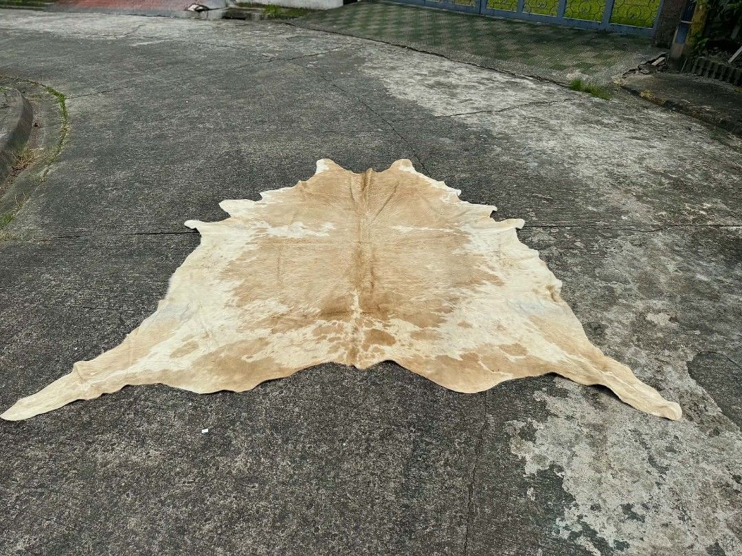 Cowhide (Category: Carpets, Mats & Flooring) located in Manila. Submitted by mightyfox.28e9a1 (Listing ID 1463870944, Image 3). Description: .