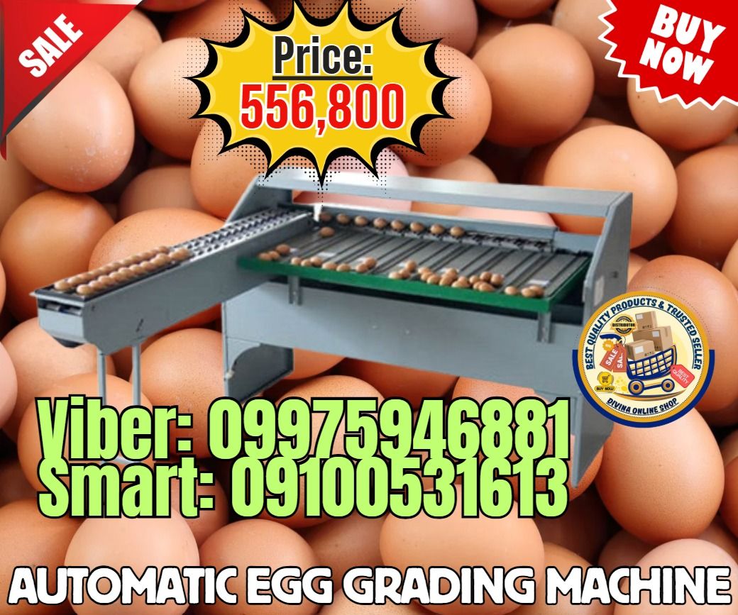 Egg Weight Grading Machine / Egg Sorting Machine / Egg Sorter 7 Level (Category: Industrial Equipment) located in Paranaque City. Submitted by dhanshawn1 (Listing ID 1463759672, Image 1). Description: 🌏 We Can Deliver Nationwide 👉 AP Cargo, LBC, Lalamove & etc. 📍HURRRYYYY!!! BUY NOW!!! & GET LESS DISCOUNT SALE❗️SALE❗️ 🔥Automatic Egg grading machine (4000pcs/h) carbon steel type Price: 556,800 ✅💯Guaranteed Seller ✅ High Quality Products ✅💯 L