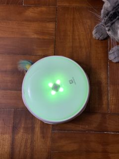 （分類：）位於 。 由 alexgirl94 提交（商品編號 1463873317，圖片 1）。簡介： 。