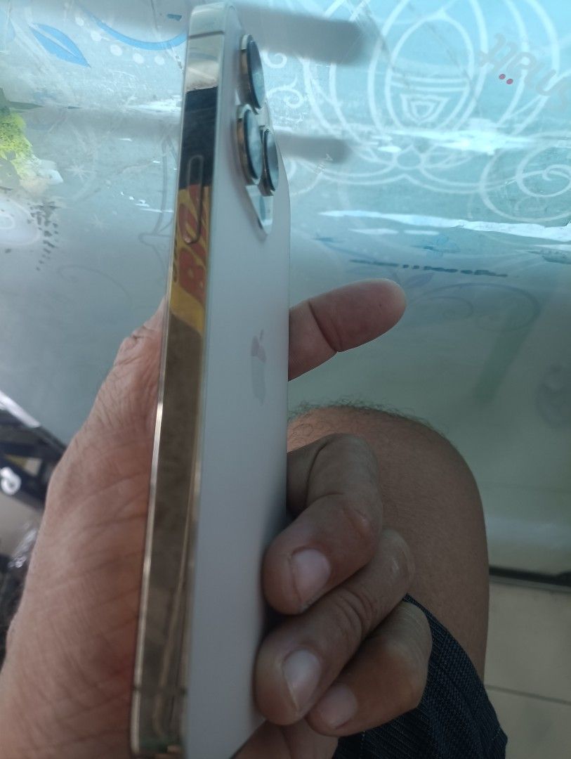 iPhone (Category: iPhone 13 Series) located in Caloocan City. Submitted by fastwater_570940 (Listing ID 1463822847, Image 3). Description: iPhone 13pro with case charger and tempered glass freebies .