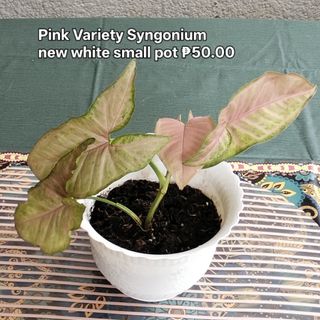 (Category: ) located in . Submitted by happyfinds2 (Listing ID 1463786210, Image 1). Description: .