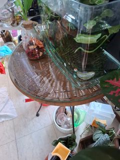 (Category: ) located in . Submitted by newforest_22c560 (Listing ID 1463809575, Image 1). Description: .