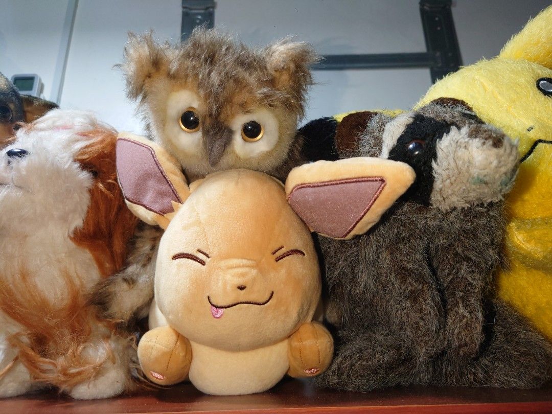 Stuffed Toys (BUNDLE) (Category: Plushies & Soft Toys) located in General Trias. Submitted by mervcorner (Listing ID 1463924468, Image 3). Description: Personal Collection Stuffed Toys Realistic animals and some fave pokemon character. With 4 hand puppets like the owl. Nakadisplay lang ito. Nakapost iyong iba as individual ad. Pinakamalaki ay ang Bear, sya iyong kasing laki ng chubby husky na adult. Pwede idagdag sa collection, design for baby ph