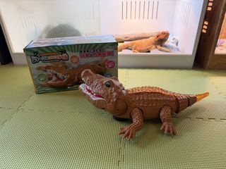 （分類：）位於 。 由 luka_x 提交（商品編號 1463788688，圖片 1）。簡介： 。