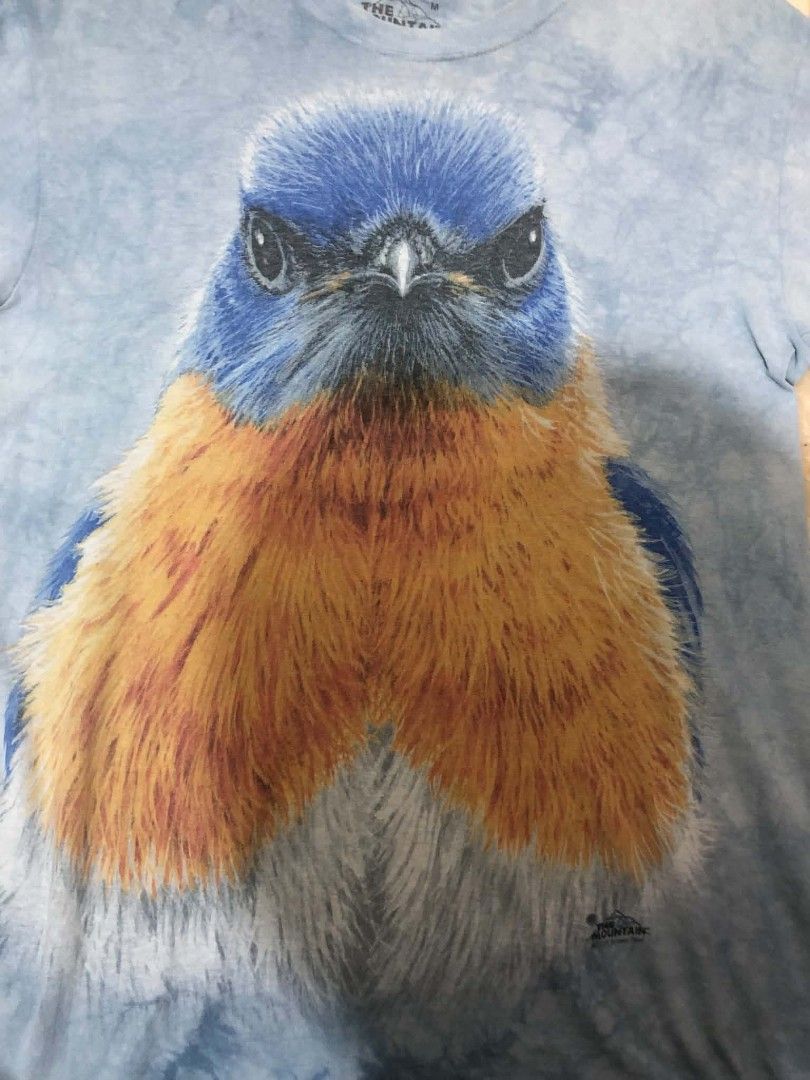 The Mountain Eastern Blue bird (Category: Tshirts & Polo Shirts ) located in Daraga. Submitted by arkhoholic (Listing ID 1463937179, Image 2). Description: good condition medium on tag 21x28.5.