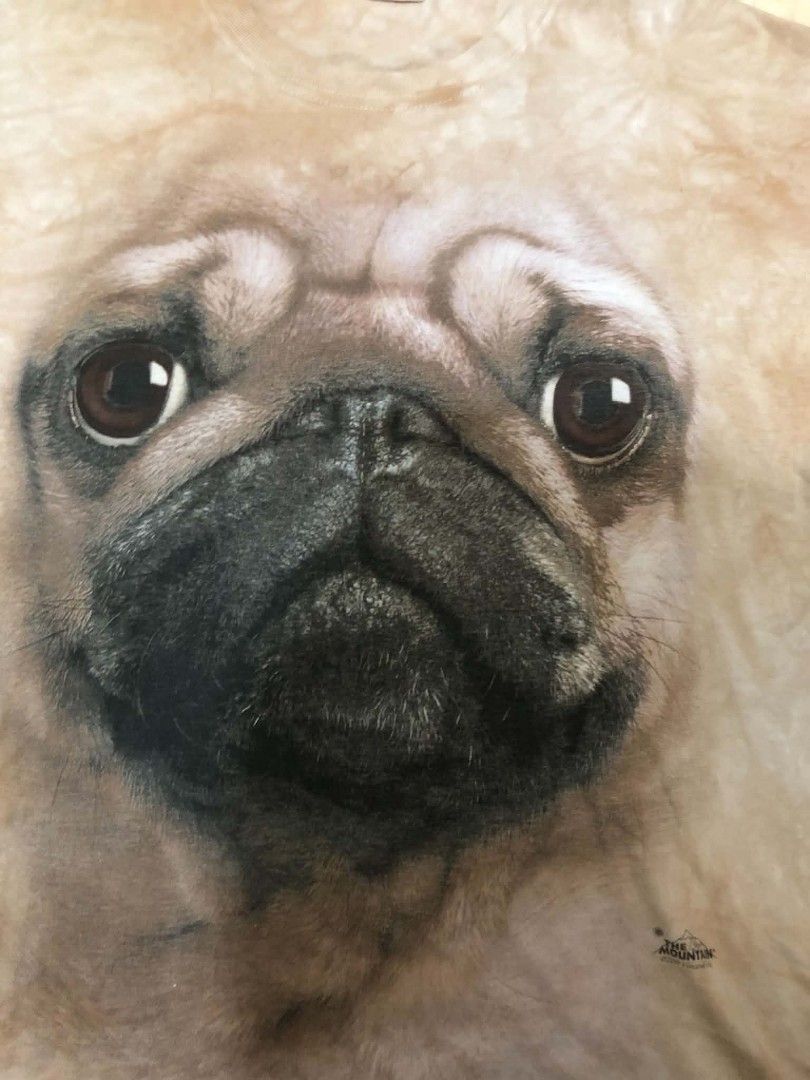 The Mountain Pug Big Face (Category: Tshirts & Polo Shirts ) located in Daraga. Submitted by arkhoholic (Listing ID 1463937250, Image 2). Description: excellent condition large 22x28.
