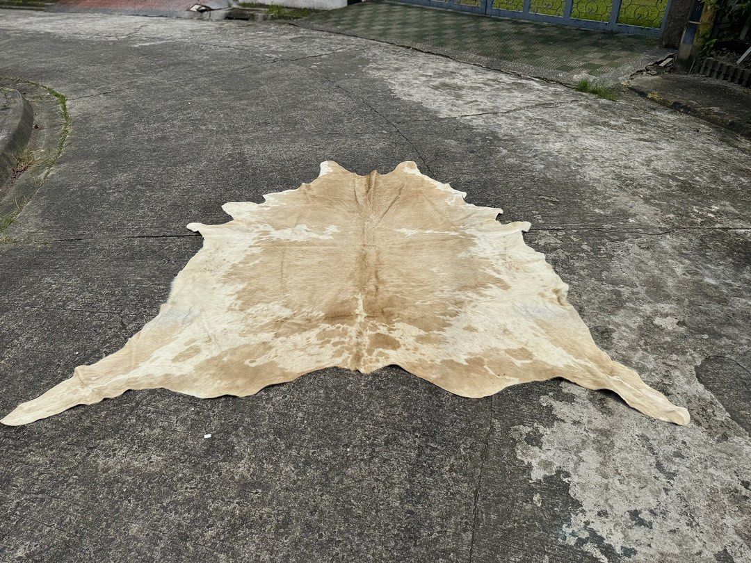 Vintage Cowhide Area Rug (Category: Carpets, Mats & Flooring) located in Bulacan. Submitted by rock_off.thriftshop.ph (Listing ID 1463858667, Image 2). Description: .