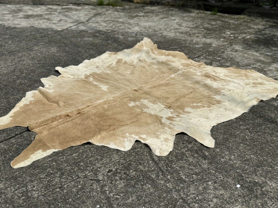 Vintage Cowhide Area Rug (Category: Carpets, Mats & Flooring) located in Bulacan. Submitted by rock_off.thriftshop.ph (Listing ID 1463858667, Image 3). Description: .