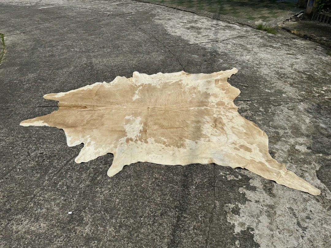 Vintage Cowhide Area Rug (Category: Carpets, Mats & Flooring) located in Bulacan. Submitted by rock_off.thriftshop.ph (Listing ID 1463858667, Image 1). Description: .