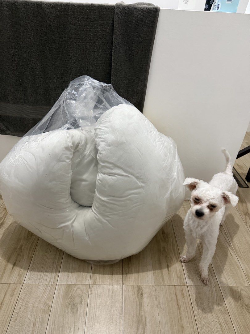 White U-shaped Maternity Pillow (Category: Maternity Care) located in Trece Martires City. Submitted by safetree.ebe985 (Listing ID 1463875013, Image 1). Description: Rfs: not needed anymore With 2 free cover (brown and blue cotton) Note: di po kasama si doggy😆.