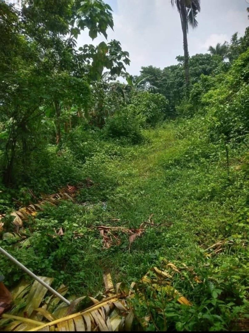 2000sqm lot for sale (Category: Lot) located in Dasmarinas. Submitted by pure.endeavorshop867 (Listing ID 1463982788, Image 2). Description: Lot for sale. Bry. Aguado trece martires cavite. 2000 sqm. Luwag 23 sqm. Haba. 87 meters. 30 meters ang layo ng lupa mula brgy road. May sariling rigth of way. Clean title update amilyar. Direct owner 3Million clean.