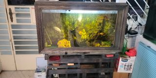 (Category: ) located in . Submitted by alvon1977oh (Listing ID 1464043914, Image 1). Description: .