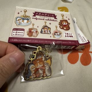 （分類：）位於 。 由 g_isme_shop 提交（商品編號 1464002443，圖片 1）。簡介： 。