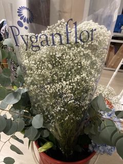 (Category: ) located in . Submitted by izerobin13 (Listing ID 1464079533, Image 1). Description: .