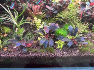 (Category: ) located in . Submitted by tohqy (Listing ID 1464034093, Image 1). Description: .