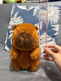 （分類：）位於 。 由 imbaldsock 提交（商品編號 1464008810，圖片 1）。簡介： 。