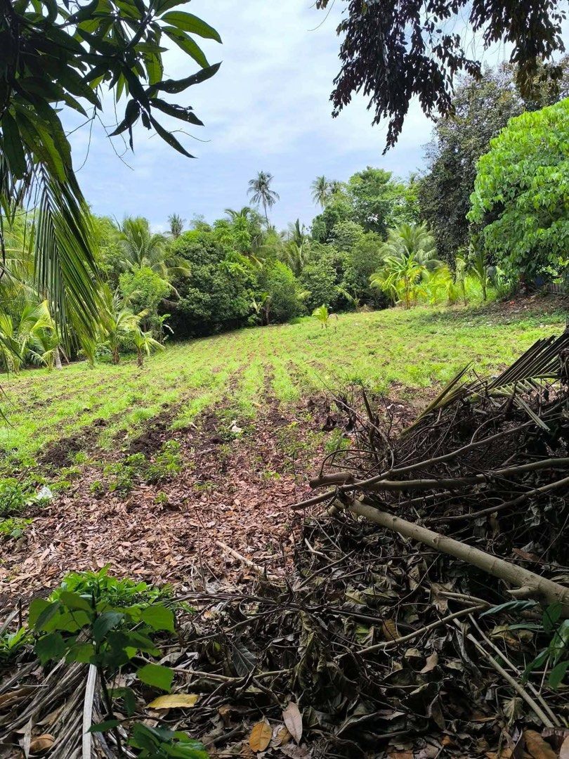 FARM/RESIDENTIAL LAND BATANGAS (Category: Lot) located in Paranaque City. Submitted by jmtlg (Listing ID 1464013554, Image 3). Description: 📍 2,500 sqm | Flat Land (100%) BATANGAS 📄 Clean Title, updated tax declaration 🛣️ Concrete road, 200m from Barangay main road 💧⚡ Water and electricity available 🏙️ 10–15 minutes to town proper PM for faster transaction. May kakilala o interesado bang mag-invest sa Farm/Residential Lot? Available Lots – C