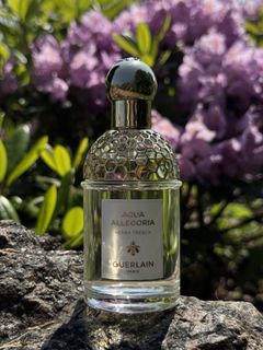 (Category: ) located in . Submitted by neomieperfumeshop (Listing ID 1463984312, Image 1). Description: .