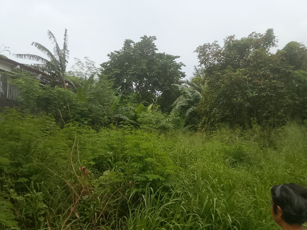 (Category: ) located in . Submitted by talk2mejoh89538 (Listing ID 1464057945, Image 1). Description: .
