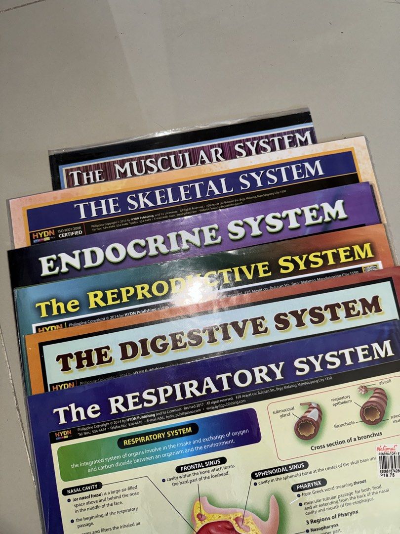 Nursing Med Student Reviewer (Category: Textbooks) located in Las Pinas. Submitted by mke.arts (Listing ID 1463947471, Image 1). Description: educational charts for ₱70 take all .