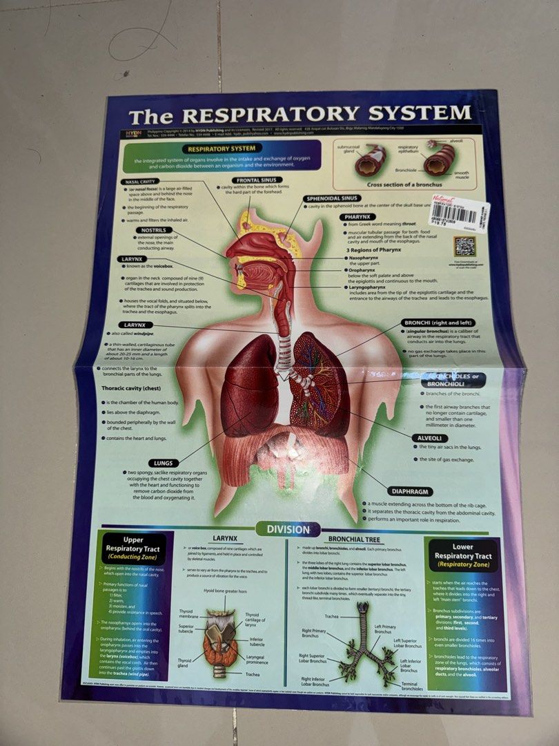 Nursing Med Student Reviewer (Category: Textbooks) located in Las Pinas. Submitted by mke.arts (Listing ID 1463947471, Image 3). Description: educational charts for ₱70 take all .