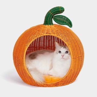 (Category: ) located in . Submitted by xaaaaaaa (Listing ID 1464098054, Image 1). Description: .