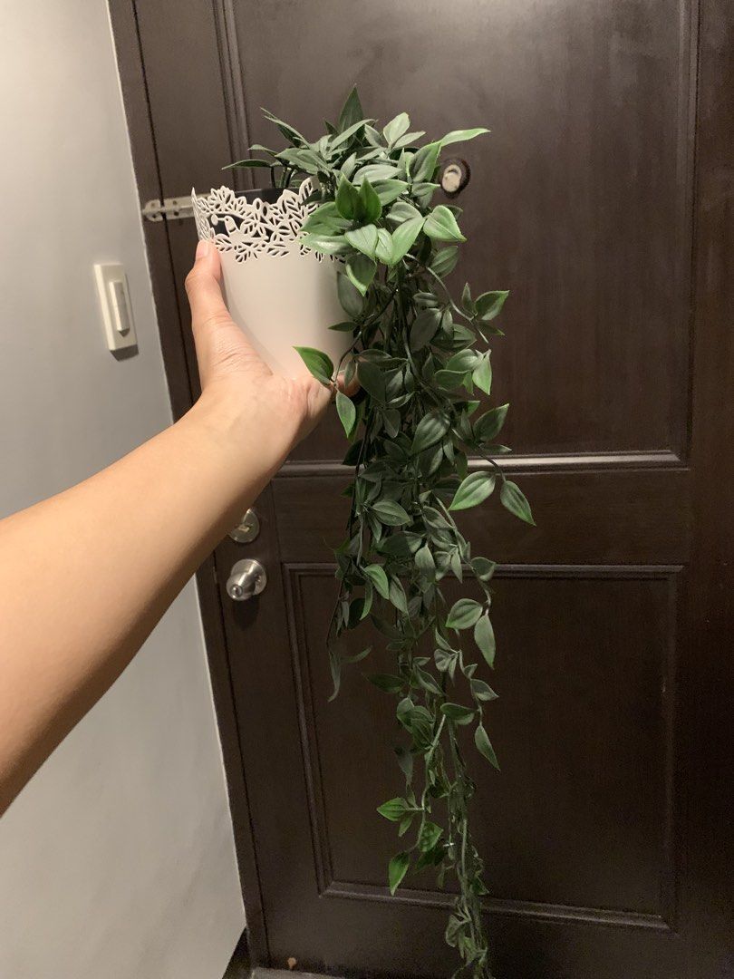 Ikea White Pot Hanging Artificial Plant (Category: Artificial Plants & Flowers) located in Paranaque City. Submitted by zyyee (Listing ID 1463946762, Image 1). Description: - Ikea Realistic hanging artificial plant - Features long, trailing green vines - Comes in a white pot with a decorative lace-like edge - Easy to hang anywhere for instant home decor -i have 2 of these.